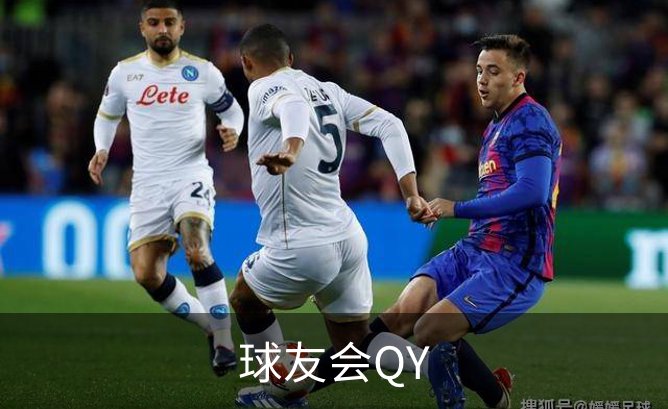 关于球友会QY